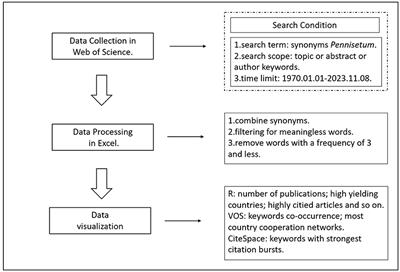A bibliometric analysis review of the Pennisetum (1970–2023)